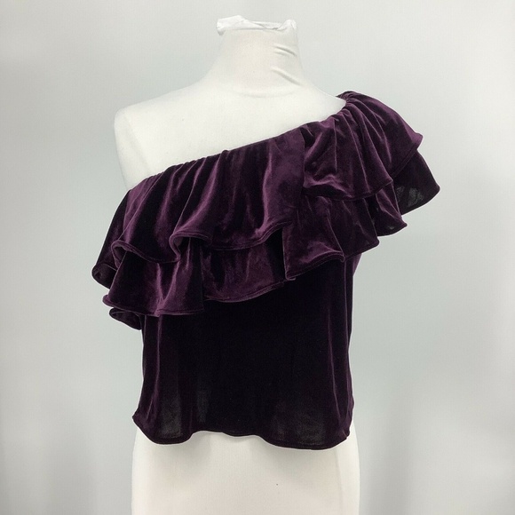 MISA LOS ANGELES Agus One-Shoulder Velvet Top Plum - Picture 2 of 8